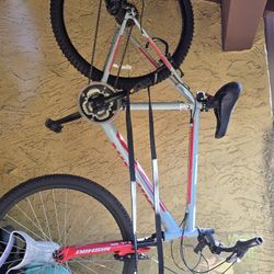 Mountain Bike (Large Frame)