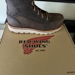 Steel toe boots, red wings