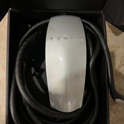 Gen 1 Tesla Wall Connector