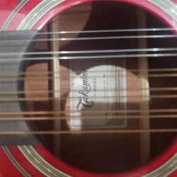 Takamine 12 String