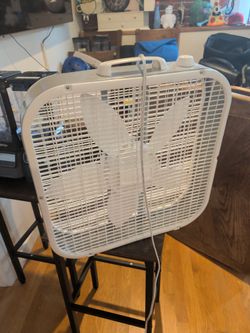 Box fan