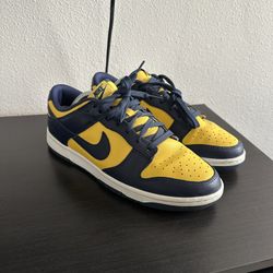 Nike Michigan Dunks