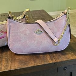 Coach Teri Mini Crossbody Bag