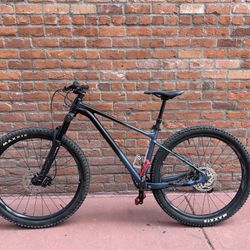 Giant Fathom Medium Frame