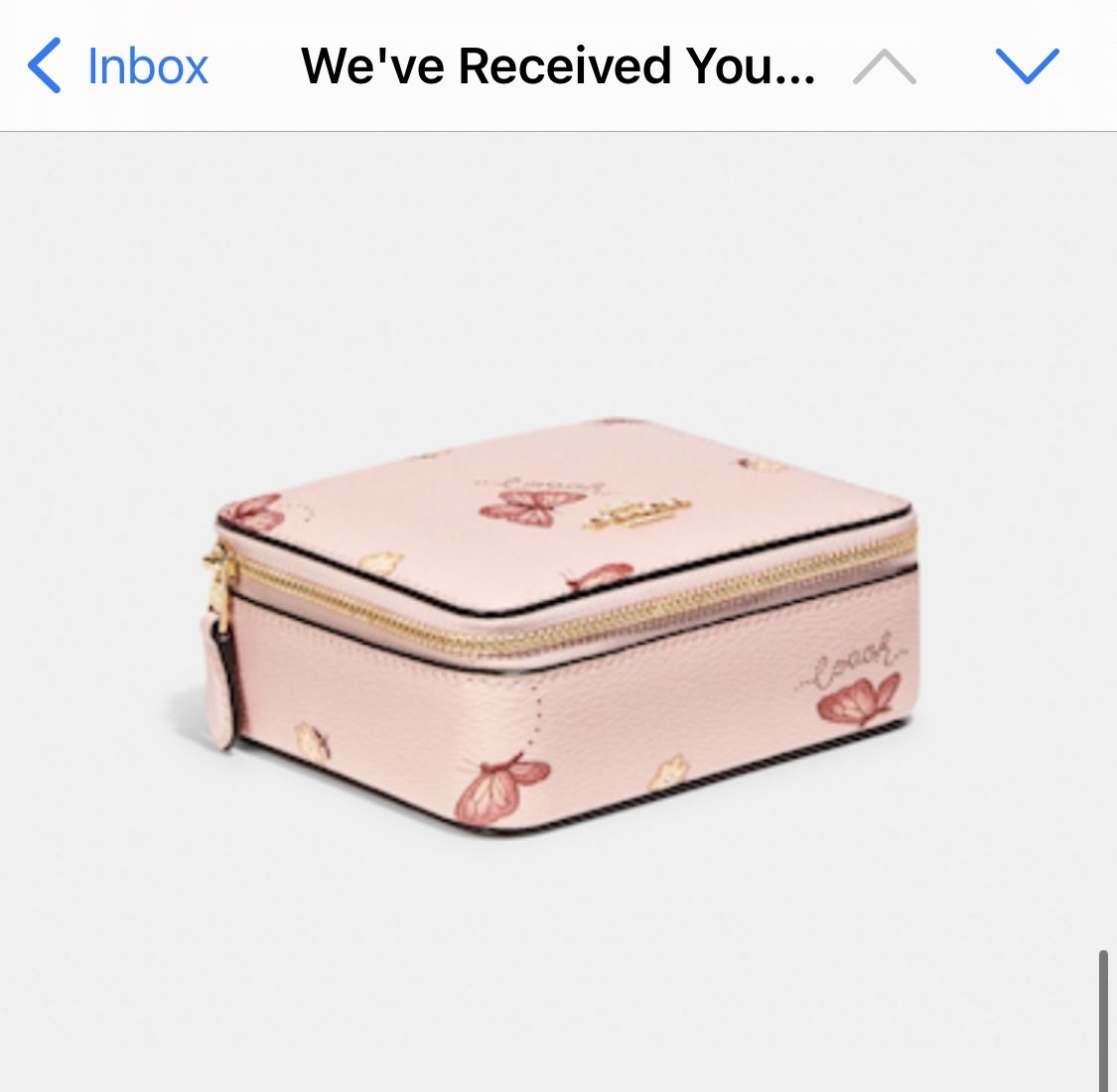 COACH Jewelry Box With Butterfly Print (C8082G) NWT
