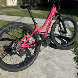 Mountain Bike 24 Schwinn 