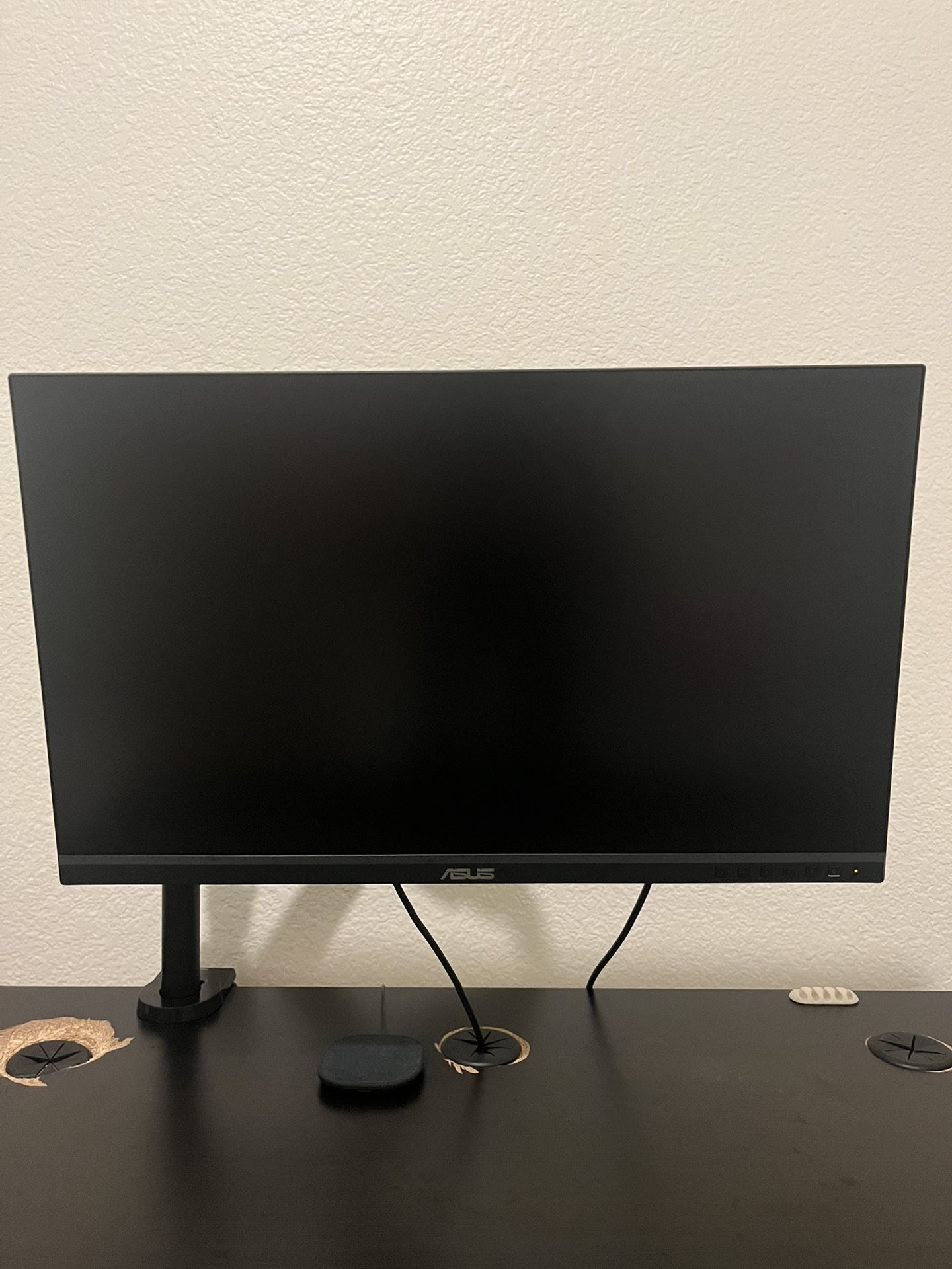 Asus ProArt Monitor 