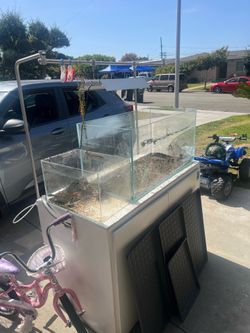 ADA 90 p y muebles Chihiros  ,, (AQUARIUM ADA 90 p )
