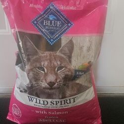 Cat Food 