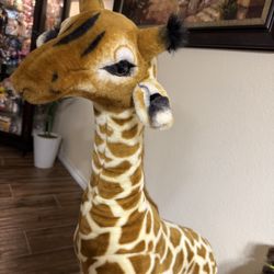  Giraffe – Perfect for Kids!