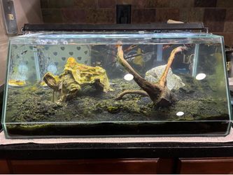 10 gallon tank with bubblers