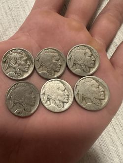 Buffalo Nickels