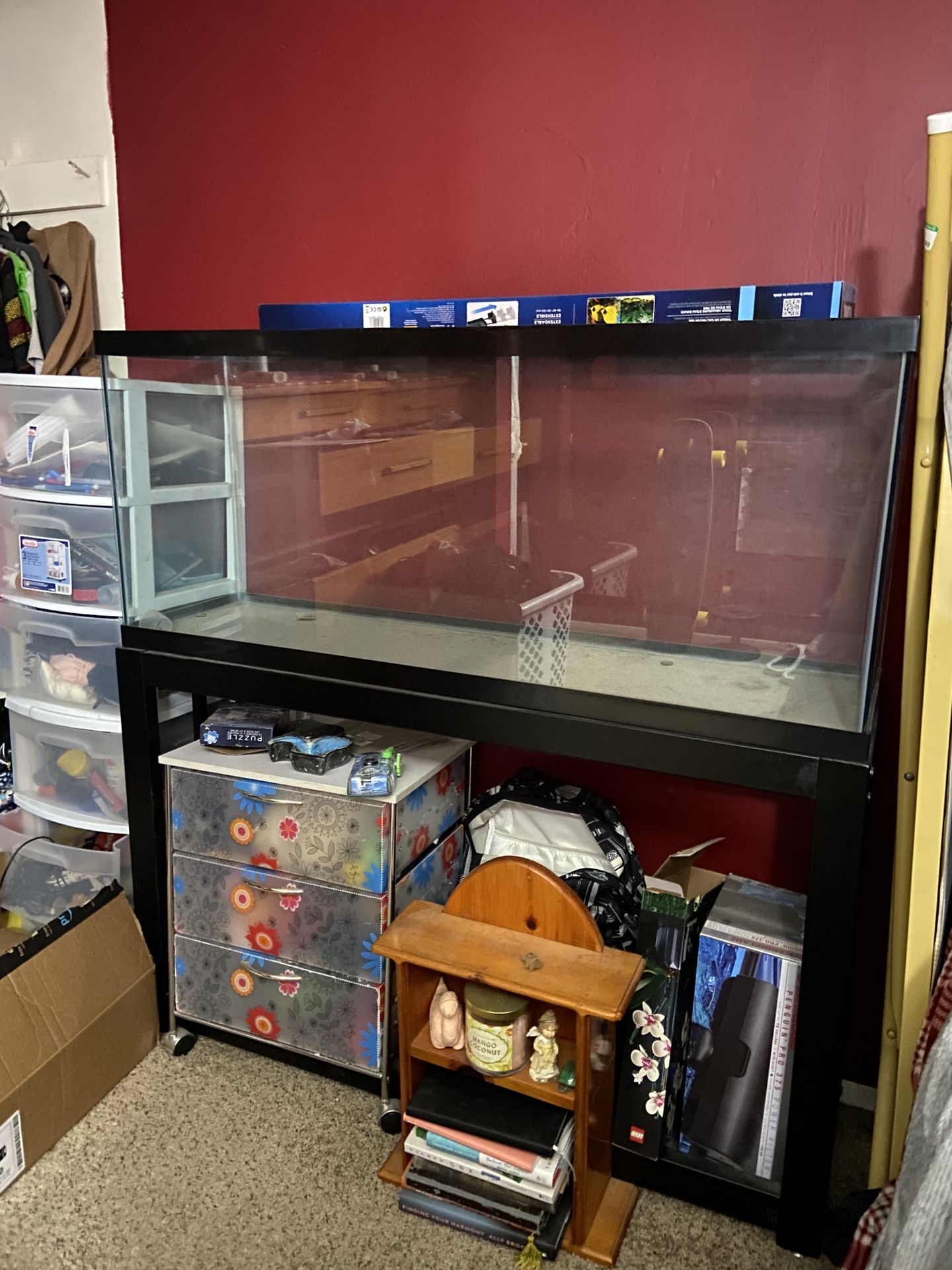 55 Gallon Tank And Stand