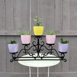 Plant Stand