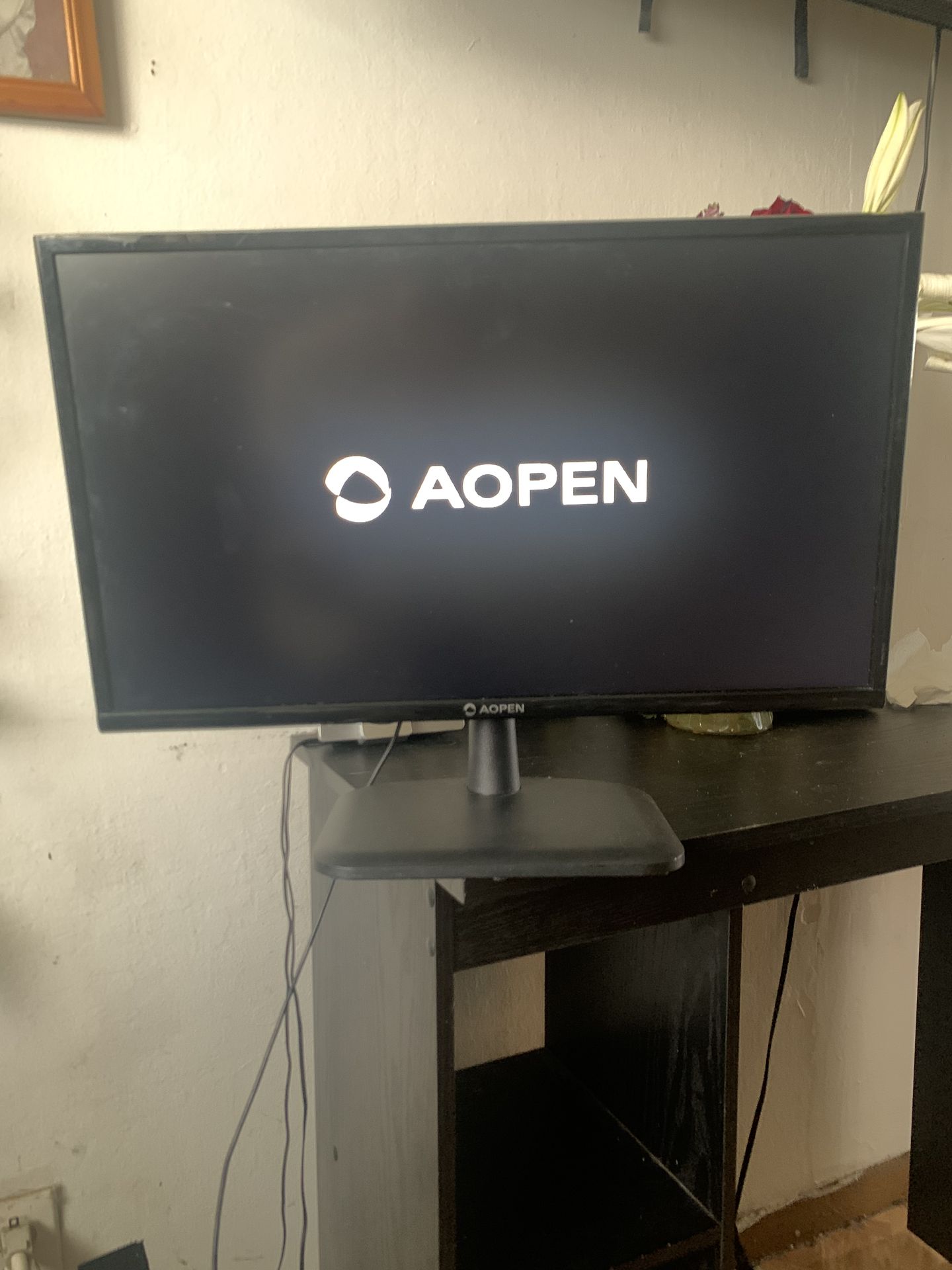 Aopen Gaming Monitor