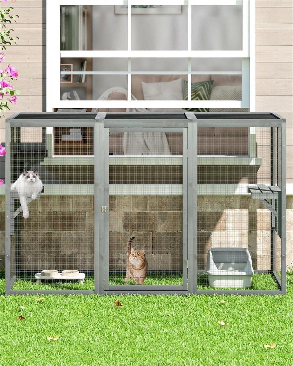 Catio / cat enclosure