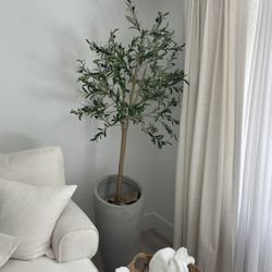 Faux Olive Tree Plant 60”