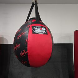 Wrecking Ball Punching Bag 