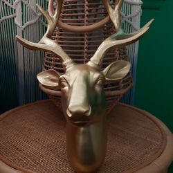 Deer Taxidermy