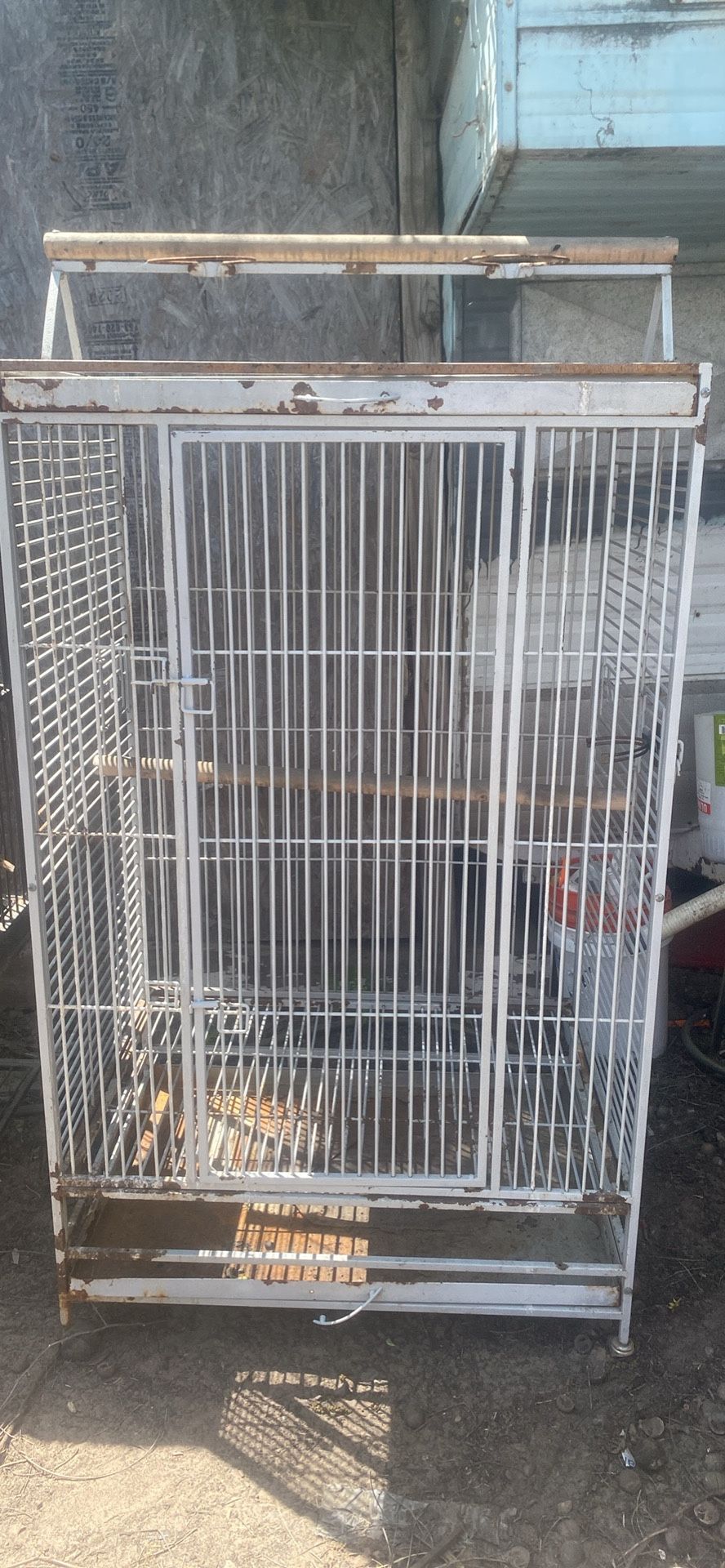 Bird Cage