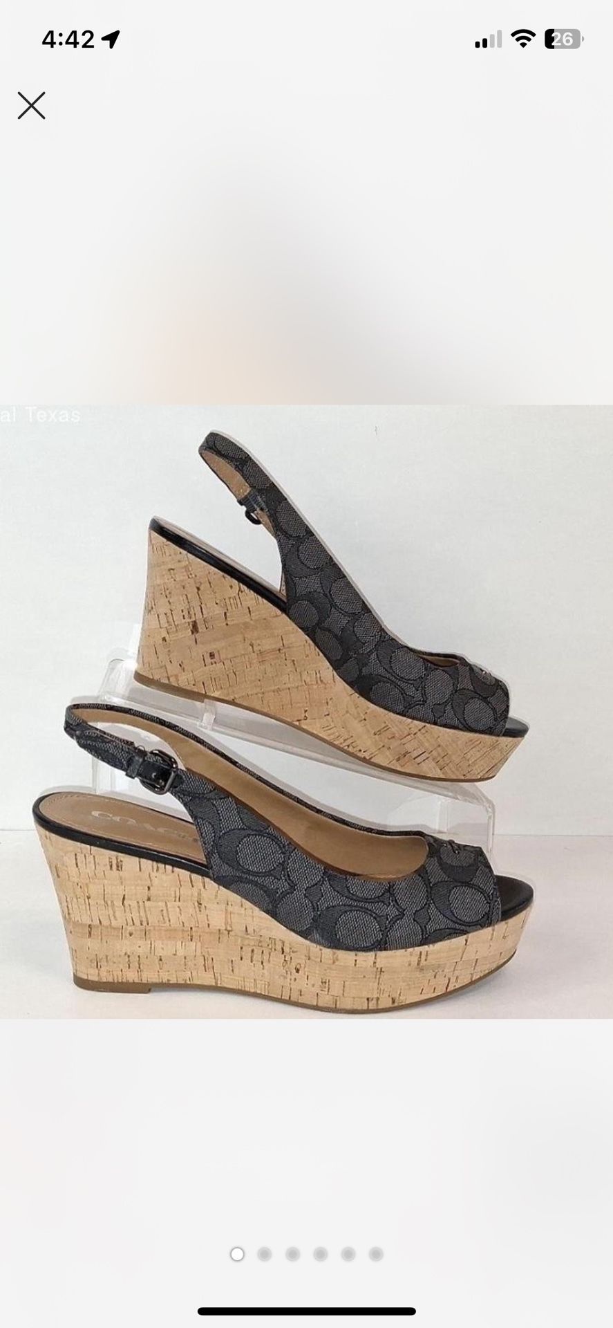 Coach Wedges 