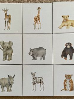 Stupell Home Decor Animal Wall Art Canvases