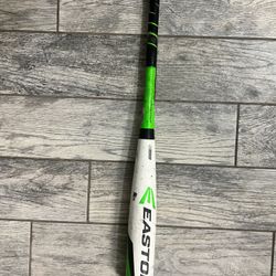Easton Baseball Bat 31