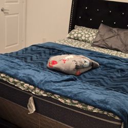 Upholstery Bed Frame 