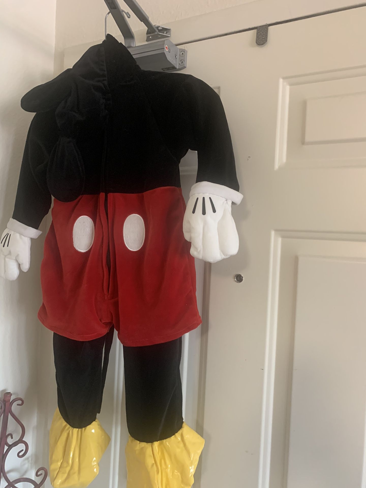 Mickey Costume