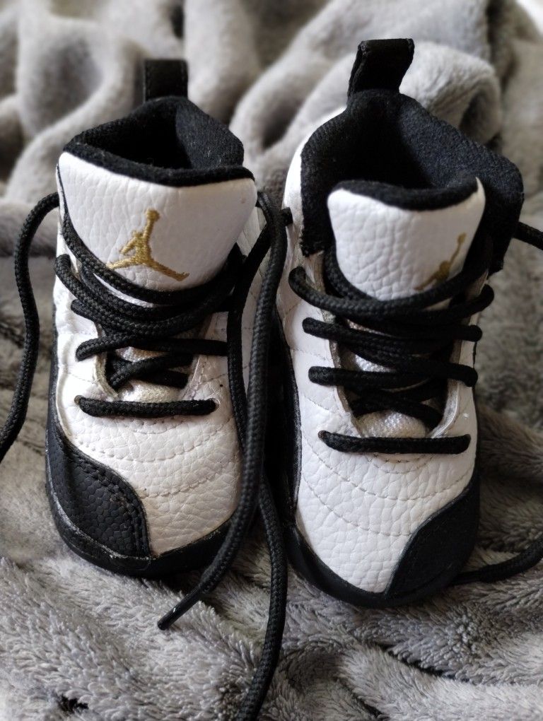 5C Air Jordan 12