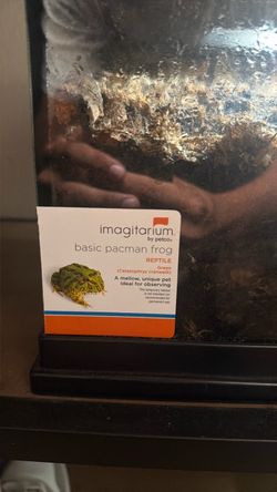 PAC man fake frog