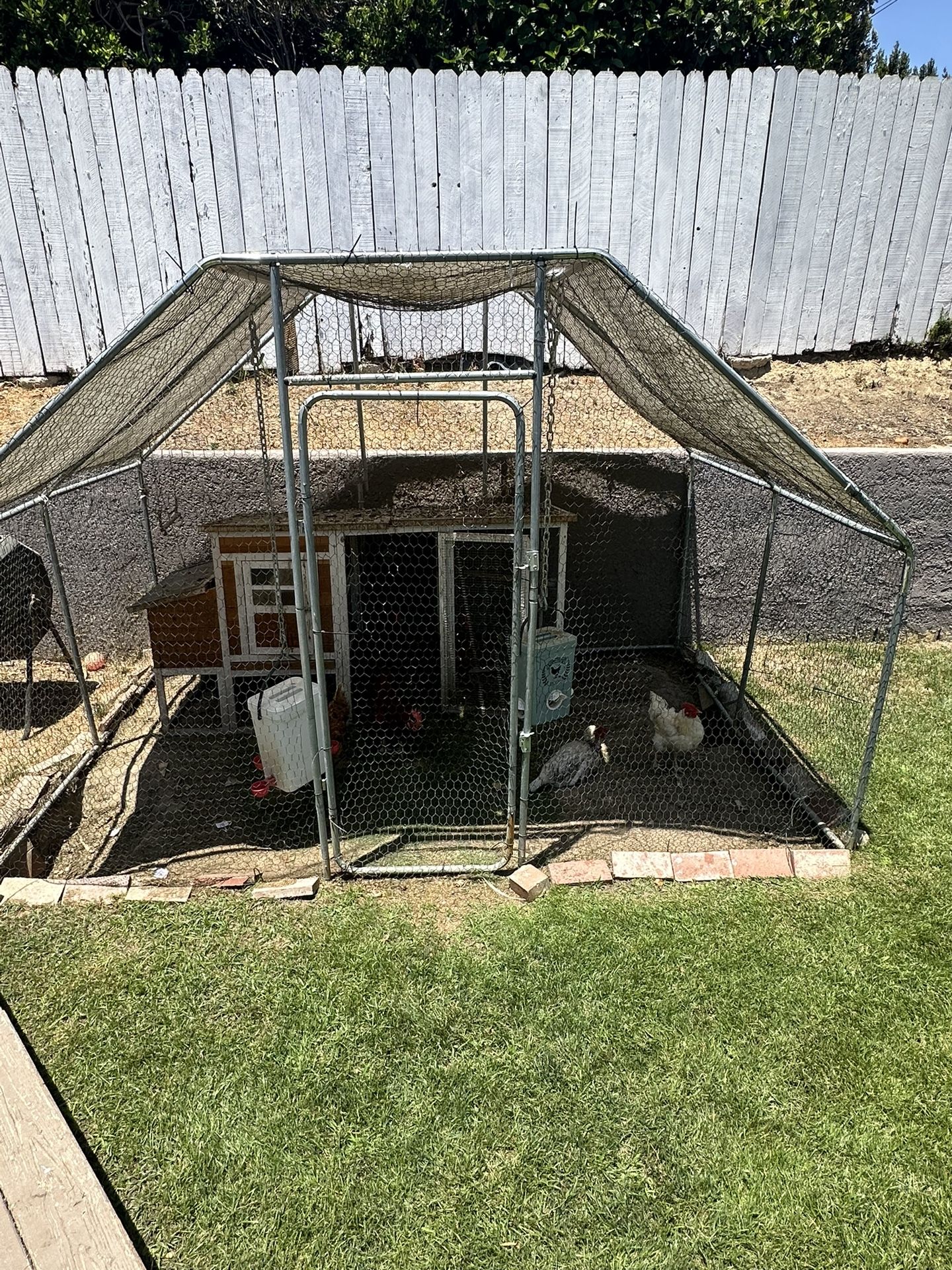 Chicken Coup Chicken Run And More