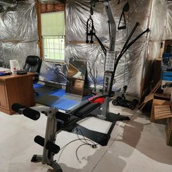 Bowflex Blaze