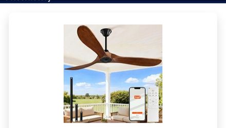 60″ Outdoor Ceiling Fan – Walnut, Remote & App Control