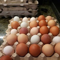 Farm Fresh Eggs $4dz (Monroe)