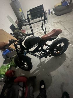Big e-bike