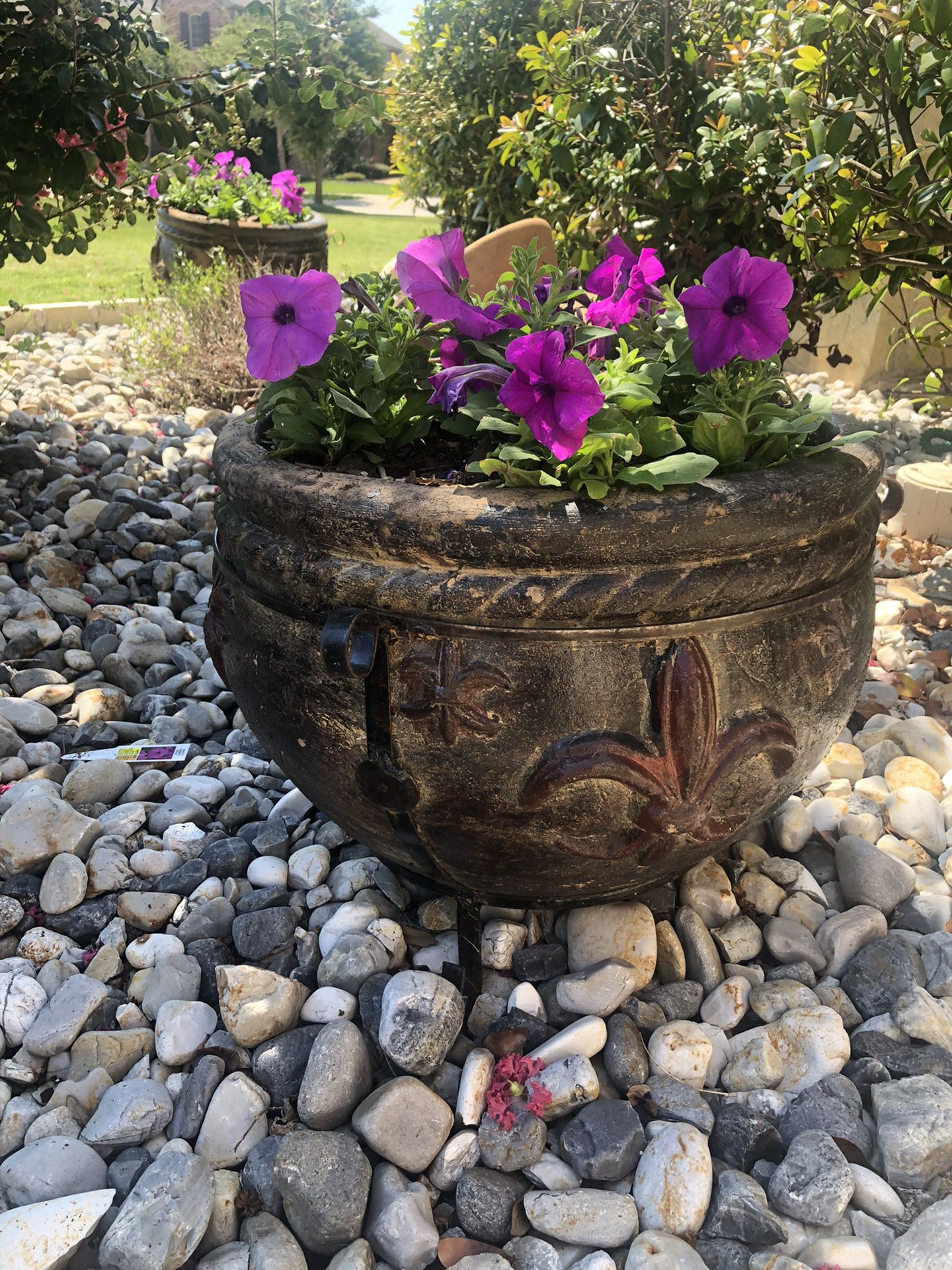 SET Of 2 BIG Heavy Ceramic Pots  With Fresh Flowers 
