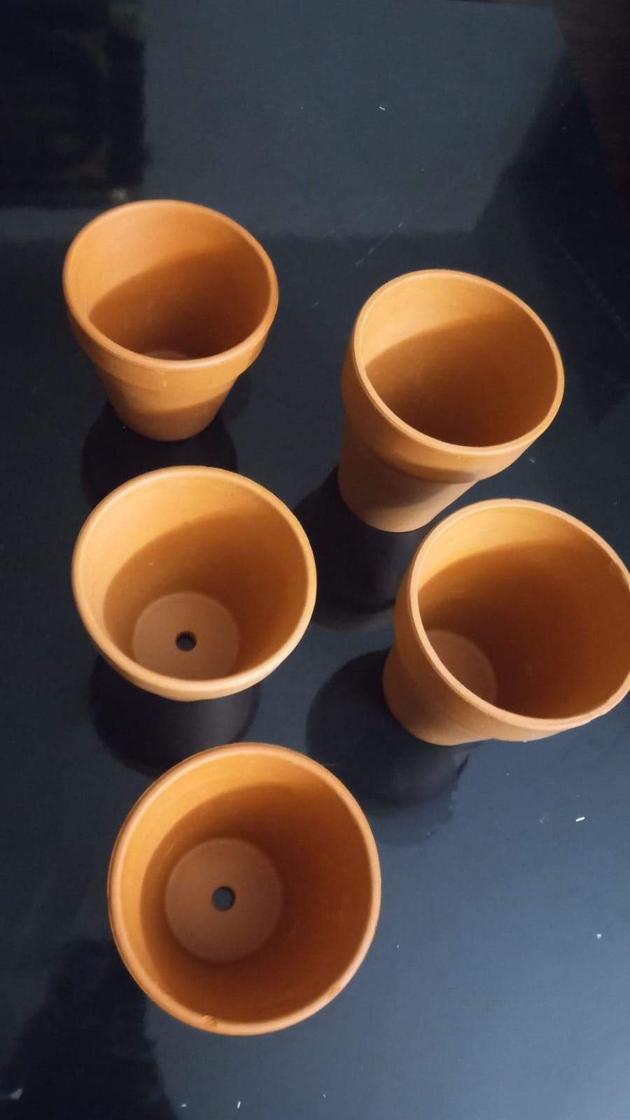 Plants Pots , And Decorative Waterer