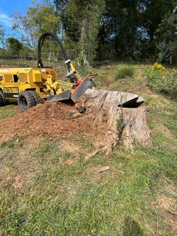 Stump Grinding 