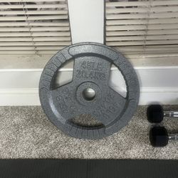 45lbs Plate