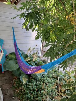 Woven Hammock