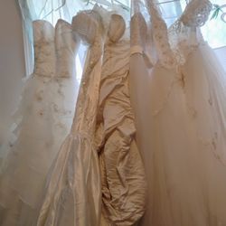 Bride N Bridesmaids Dresses All Sizes