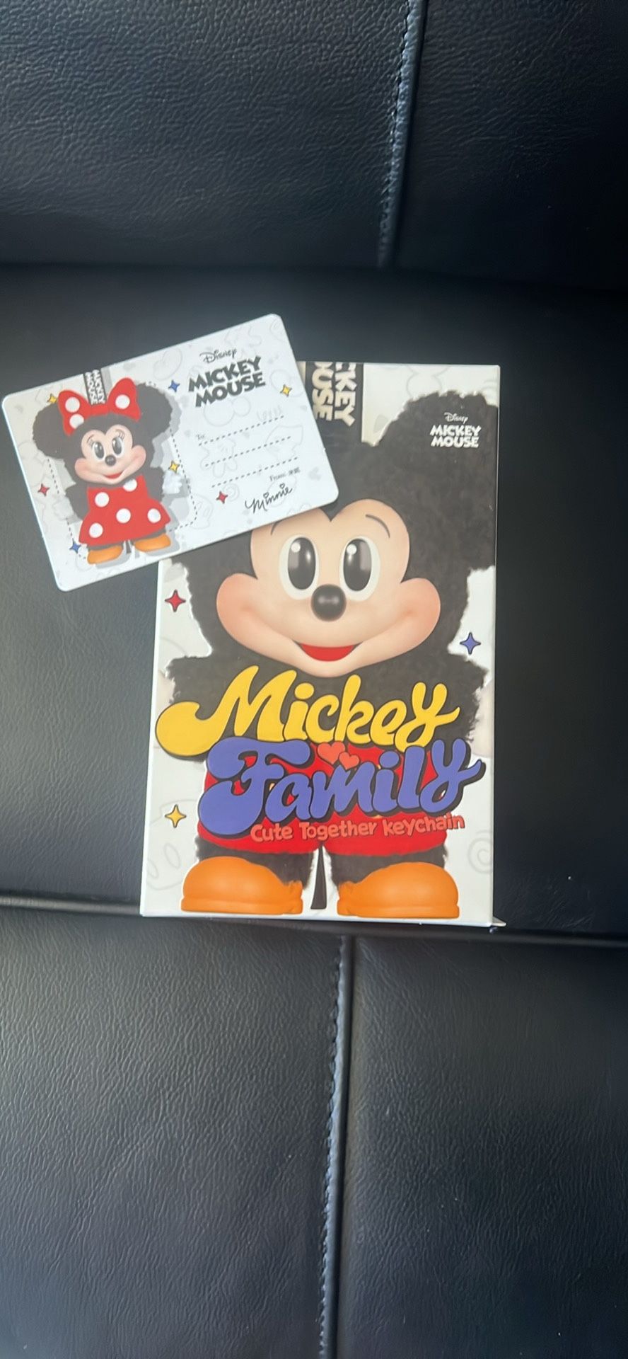Mickey Family