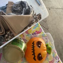 Halloween Costumes And Wigs 