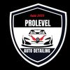 Prolevel_autodetailing