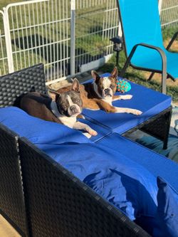 Patio Furniture - Great Condition