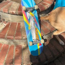 Still Woozy Hand Painted Skate Board