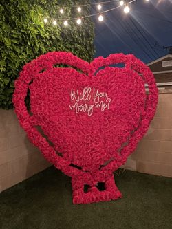 Red Rose Back Drop