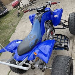 Raptor 06