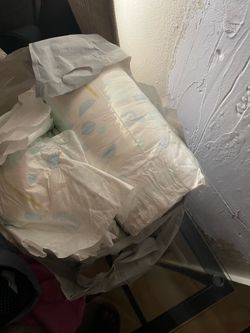 Free Size 6